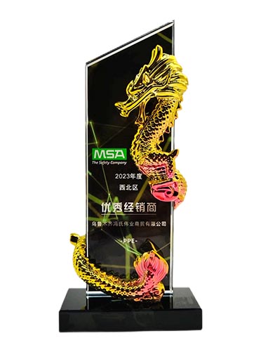 MSA優(yōu)秀經銷商-2023年